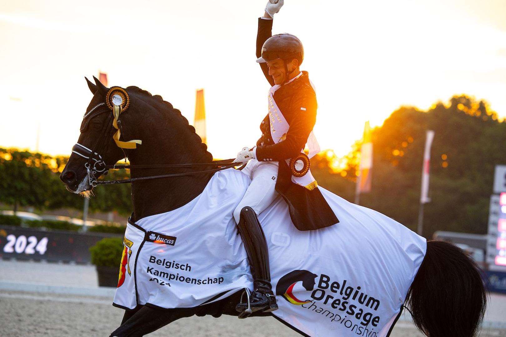 Zonik Plus Stallion Zonik Plus Stallion